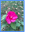 10-29-19a